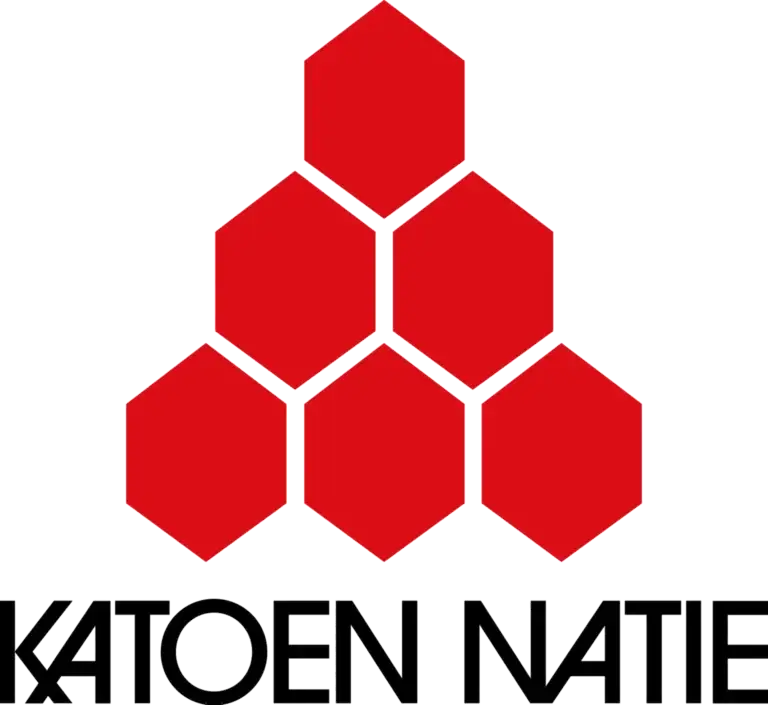 logo-katoen-natie